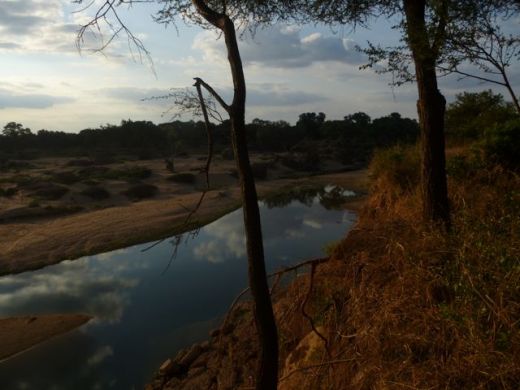 Limpopo Transfrontier Park